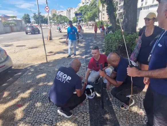Cadela é resgatada após passar três dias presa dentro de carro - Imagem