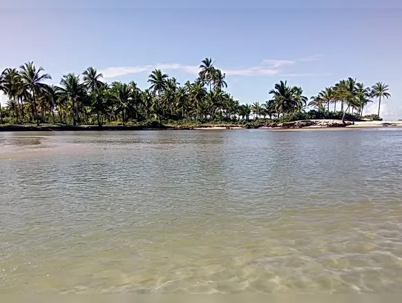 Homem é encontrado decapitado em praia de cidade turística da Bahia - Imagem