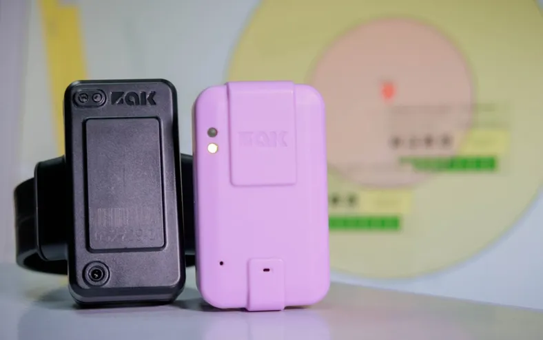 Agressor de mulher pode passar a usar tornozeleira eletrônica rosa - Imagem