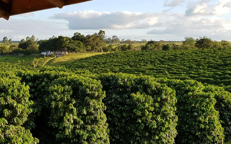 Agricultores investem EUR 311 milhões anuais em pesquisa - Imagem