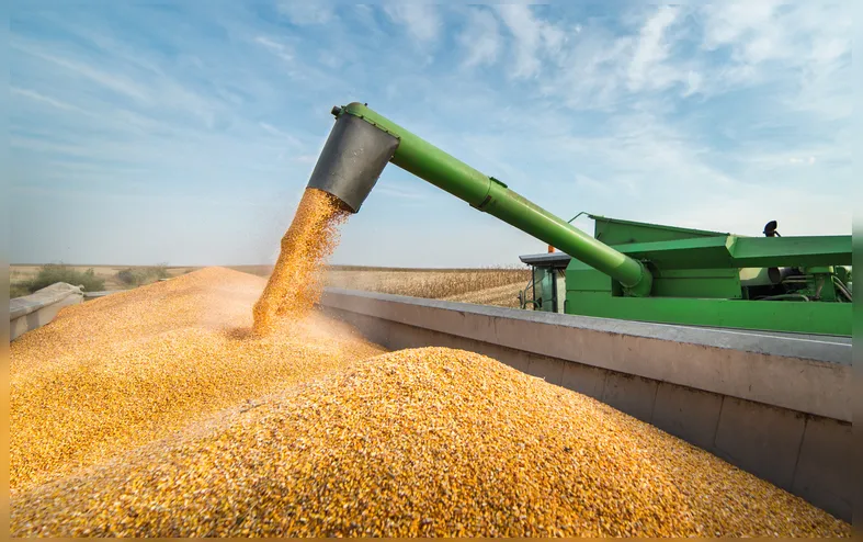 Além da Bolsa de Chicago: gestão de riscos, por Roberta Paffaro - Imagem