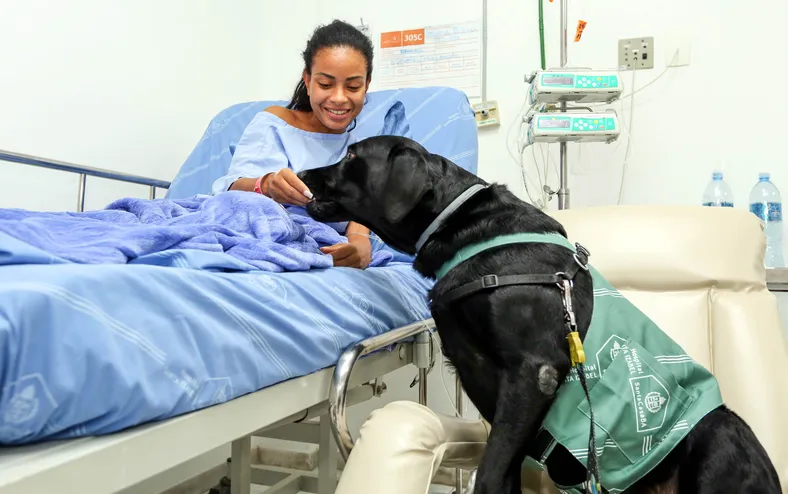 Animais estão liberados para visitar tutores em hospitais de Salvador - Imagem
