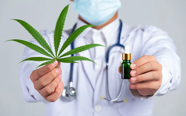 Cannabis medicinal tem alta procura por brasileiros; saiba o motivo - Imagem