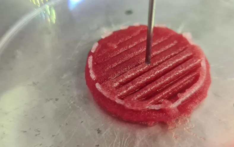 Carne nova no pedaço? Proteína de laboratório cresce e mira mercado na Bahia - Imagem