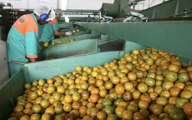 Crise da laranja acende alerta e é debatida em audiência pública na Alba - Imagem