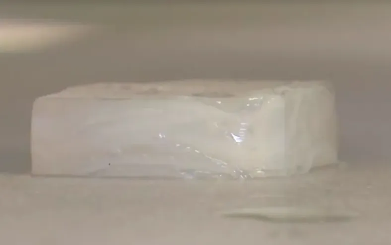 De sobra de cerveja à carne do futuro: cientistas criam novo produto - Imagem