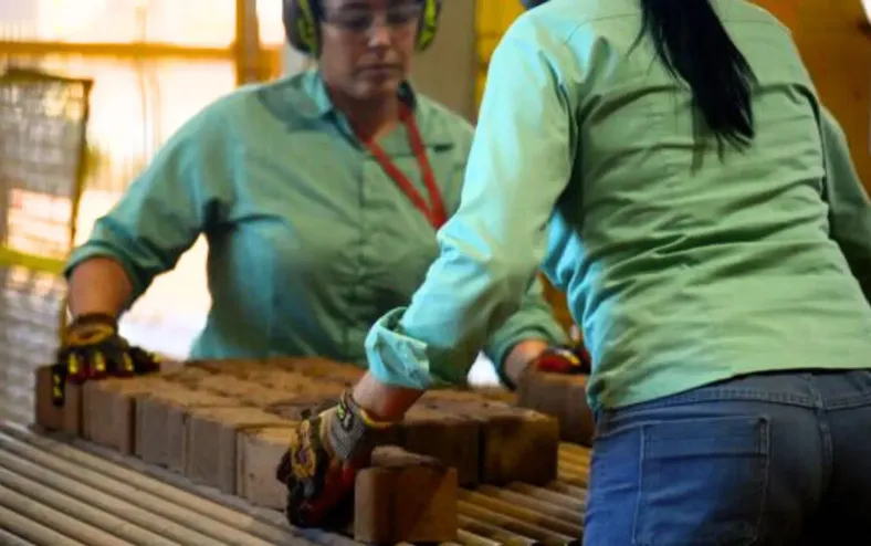 Fim da escala 6x1: Leo Prates defende jornada de 40 horas e limite de 5 dias de trabalho - Imagem