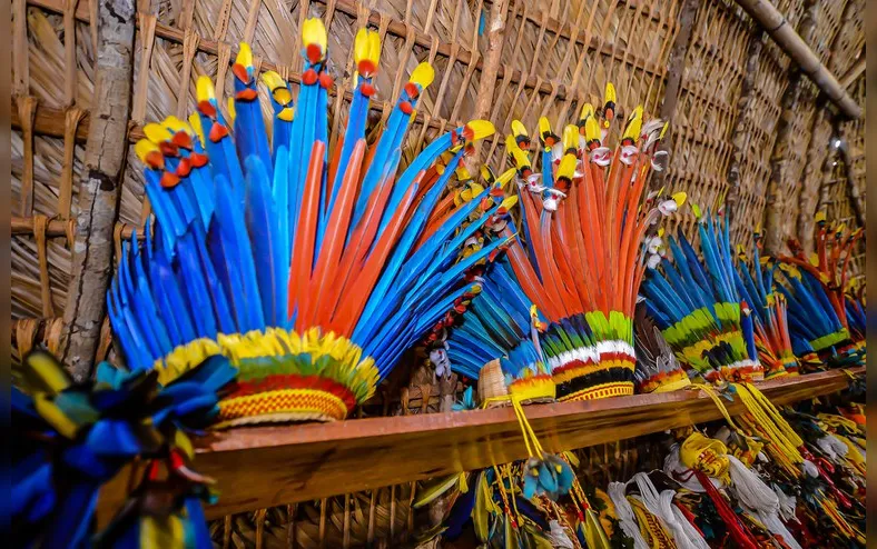 Indígenas da Venezuela resistem em Conquista - Imagem