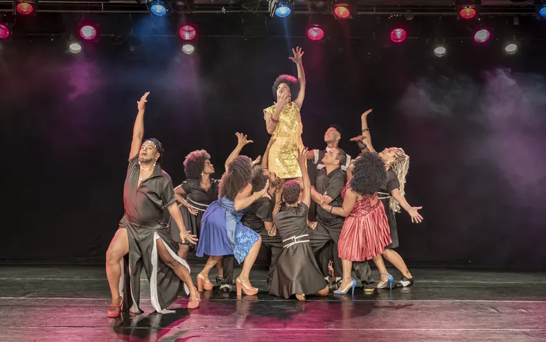 Musical foge do óbvio e revela as múltiplas faces de Elza Soares - Imagem