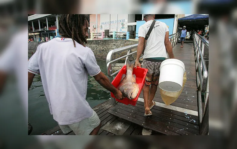 Novo ministro avalia pesca e perspectivas do agro para 2026 - Imagem