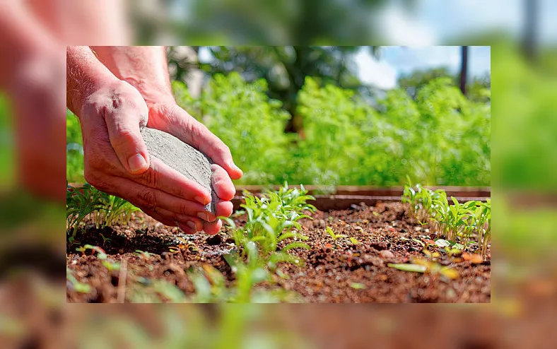 O futuro do agro depende do que o cidadão  pensa de quem produz - Imagem