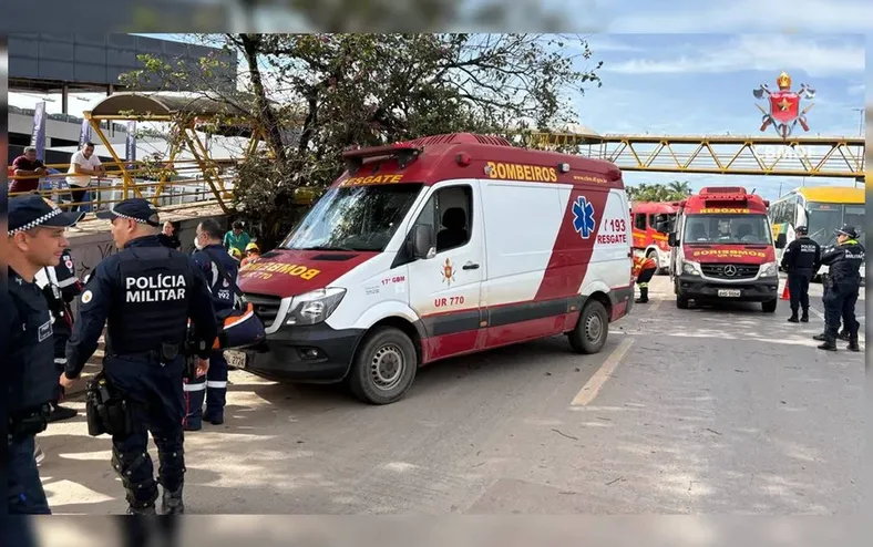 Ônibus escolar bate em árvore e passarela e deixa múltiplas vítimas - Imagem