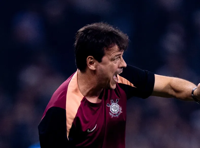 Fernando Diniz critica gramado do Barradão "Não favorece o jogo" - Imagem