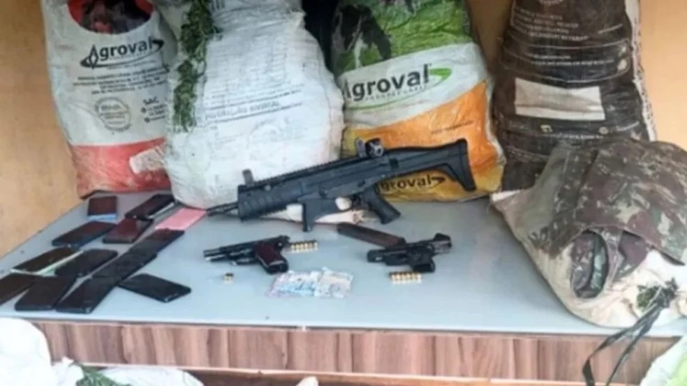 Operação erradica 200 mil pés de maconha e apreende três toneladas na Bahia