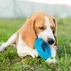 Conheça brinquedos interativos que ajudam a reduzir ansiedade em cães