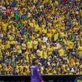 A Pátria sem chuteiras imagem