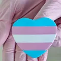 Adolescente trans é autorizada pela Justiça a fazer bloqueio hormonal imagem
