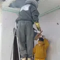 Ataque de abelhas deixa idosa ferida em cidade baiana imagem