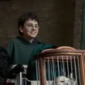Ator de Game of Thrones entra no elenco da série de Harry Potter imagem