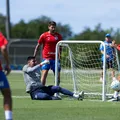 Bahia encara o Botafogo, dono do melhor ataque do Brasileirão, para fazer as pazes com a torcida imagem
