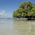 Bahia supera Disney e lidera ranking de destino favorito pelo 7º ano imagem
