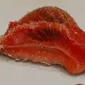 Biólogo batiza nova espécie de molusco em homenagem ao goleiro Vozinha imagem
