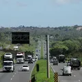 BR-116 e BR-324: leilão define nova administração de trechos na Bahia imagem