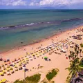 Brasil aparece entre os países com mais ataques de tubarão; veja ranking imagem