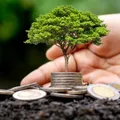 Brasil passa de relatórios de sustentabilidade obrigatórios para voluntários imagem