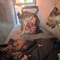 Carne de gado furtado era comercializada por grupo alvo de operação na Bahia imagem