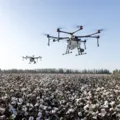 Como o uso da inteligência artificial está desbancando o agro baiano? imagem