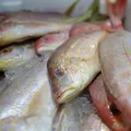 De peixes a pneus: como tarifaço aperta principais setores da Bahia imagem