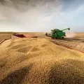 De US$ 600 bi para US$ 1 tri no agro, já pensaram nisso, candidatos à Presidência? imagem