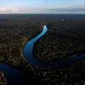 Desmatamento na Amazônia cai 37,5% e atinge menor nível da história imagem