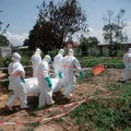 Ebola mata mais de 2 mil na RDC e surto se aproxima de marca histórica imagem