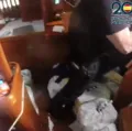 Empresário baiano é preso com 500 kg de cocaína em veleiro na Espanha imagem