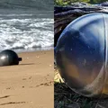 ETs? Agência espacial revela origem de misteriosas esferas de metal imagem