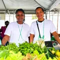 Evento junino reúne Copa do Mundo e serviços gratuitos em Salvador imagem