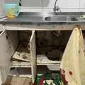 Gestora de abrigo é solta após prisão por suspeita de maus-tratos contra idosos imagem