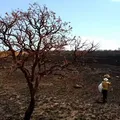 Governo Federal se reúne para mitigar impactos do El Niño no Nordeste imagem