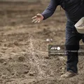 Guerra do Oriente Médio ameaça demanda de fertilizantes no Brasil imagem
