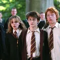 Harry Potter: ator voltará a interpretar personagem icônico em obra imagem