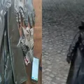 Homem é preso após se fantasiar de lobisomem para assustar vizinhos imagem