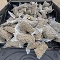 Homem é preso com 100 kg de maconha na Bahia destinada à facção do RJ imagem
