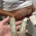 Idosa é presa tentando entrar com maconha e cocaína em presídio da Bahia imagem