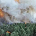 Incêndios matam bombeiros e onda de calor agrava crise na Europa imagem