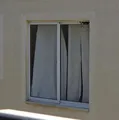 Infestação de insetos em cidade da Bahia assusta moradores; entenda motivo imagem