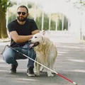 Lei de cão-guia em Salvador gera debate entre motoristas de app e taxistas imagem