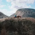 Longa com baiana Luciana Souza é destaque no Olhar de Cinema imagem
