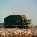 Luís Eduardo Magalhães, sede da Bahia Farm Show, cresce com o agronegócio imagem